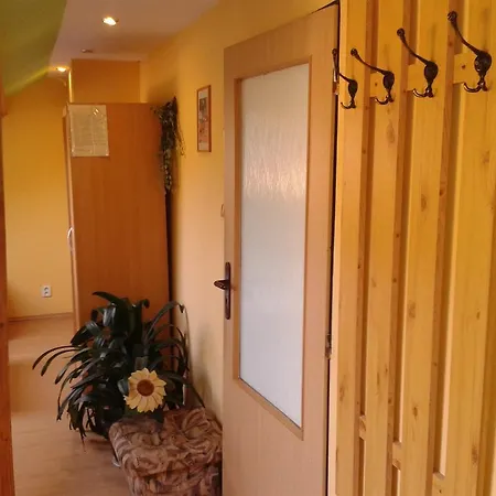 Casa de hóspedes Havaj 3*