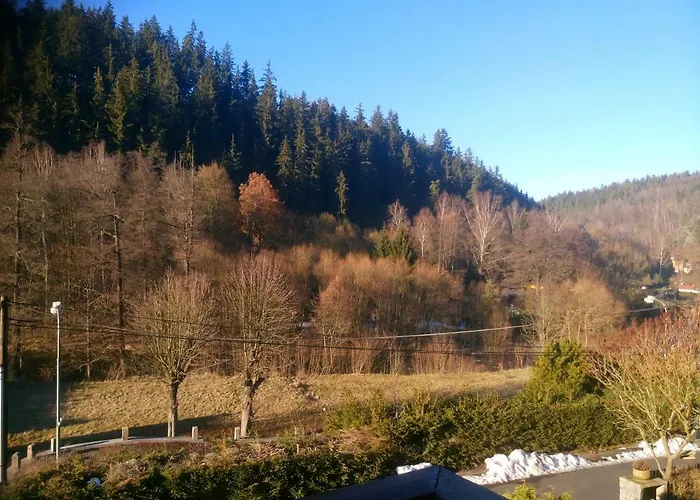 Havaj 3* Karlovy Vary